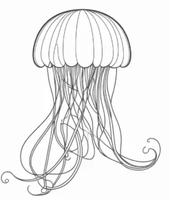 jellyfish fish coloring page