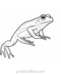 jumping frog coloring page