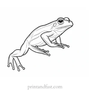 jumping frog coloring page