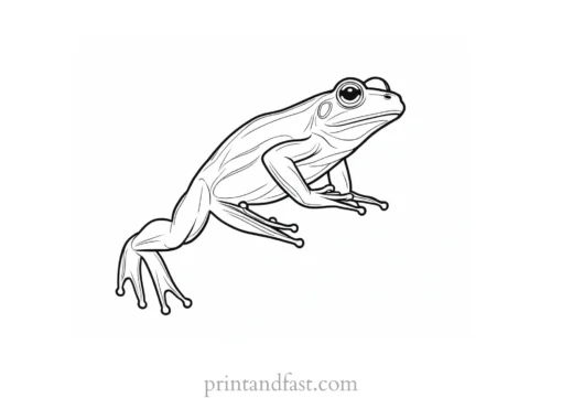 jumping frog coloring page