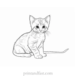 kitten coloring page for adults