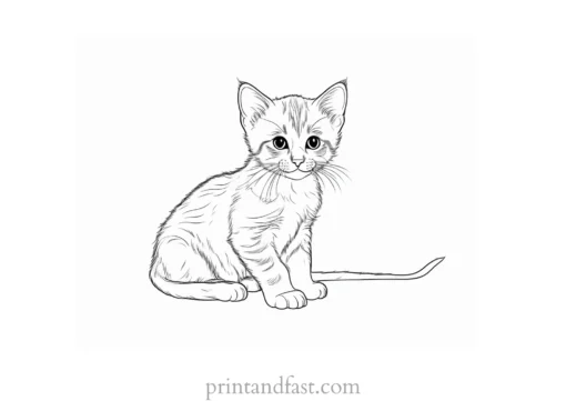 kitten coloring page for adults