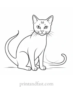 kitty coloring page for kids