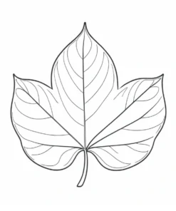 leaf coloring page acorn