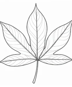 leaf coloring page autumn