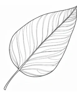 leaf coloring page botanical