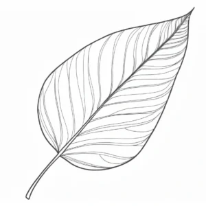 leaf coloring page botanical