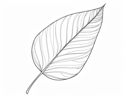 leaf coloring page botanical