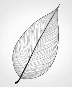 leaf coloring page detailed