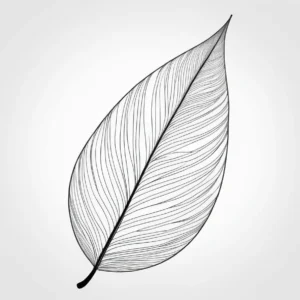 leaf coloring page detailed