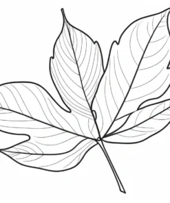 leaf coloring page easy