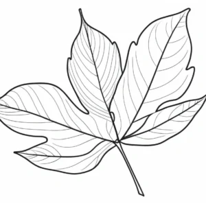 leaf coloring page easy