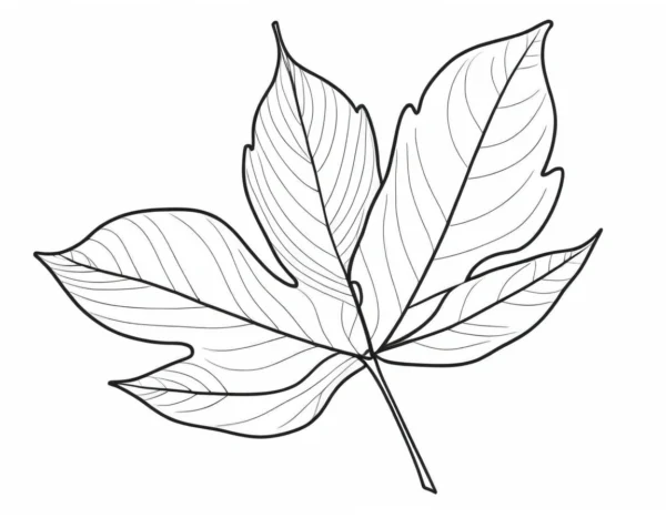 leaf coloring page easy