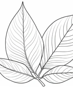 leaf coloring page fall