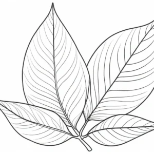 leaf coloring page fall