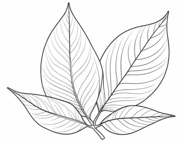 leaf coloring page fall