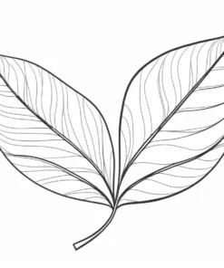 leaf coloring page for kids