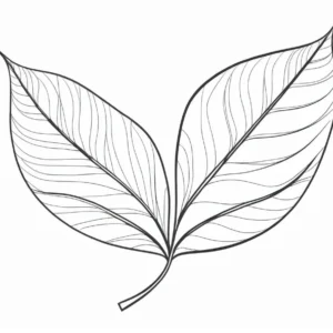 leaf coloring page for kids