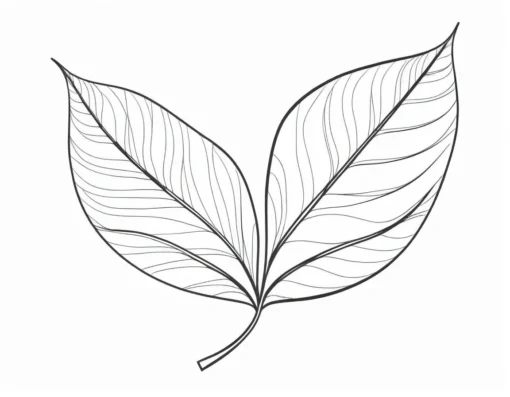 leaf coloring page for kids