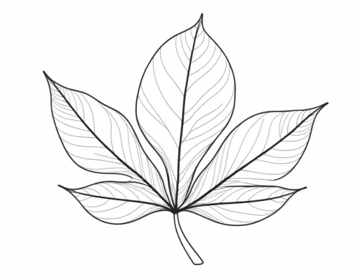 leaf coloring page free