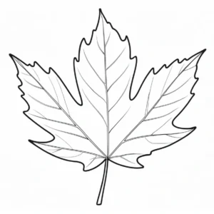 leaf coloring page maple