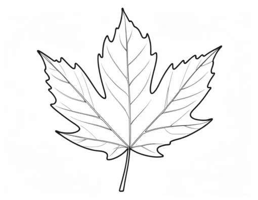 leaf coloring page maple