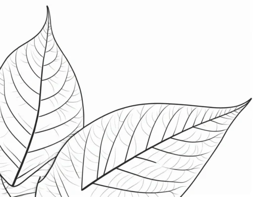 leaf coloring page nature