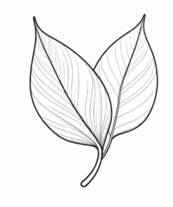 leaf coloring page outline