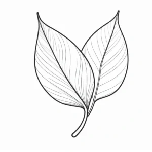 leaf coloring page outline