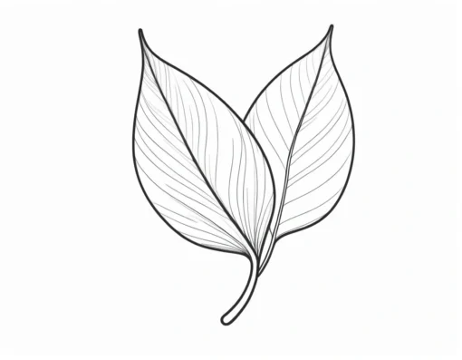 leaf coloring page outline