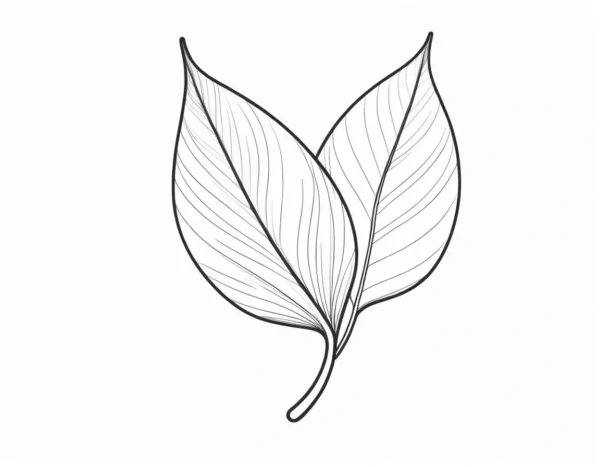 leaf coloring page outline