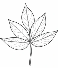 leaf coloring page plant