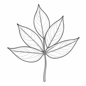 leaf coloring page plant