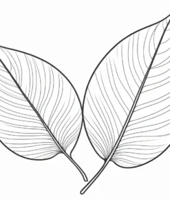 leaf coloring page preschool