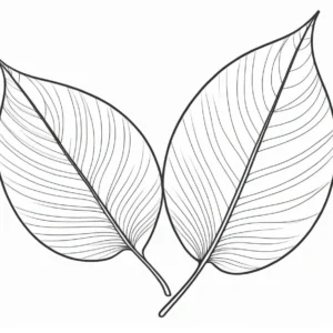 leaf coloring page preschool