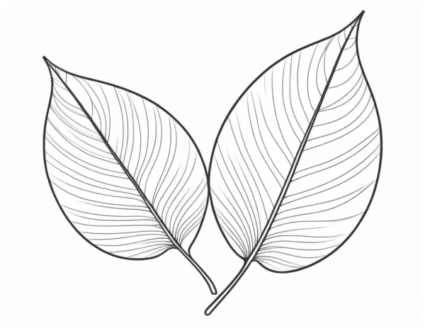 leaf coloring page preschool