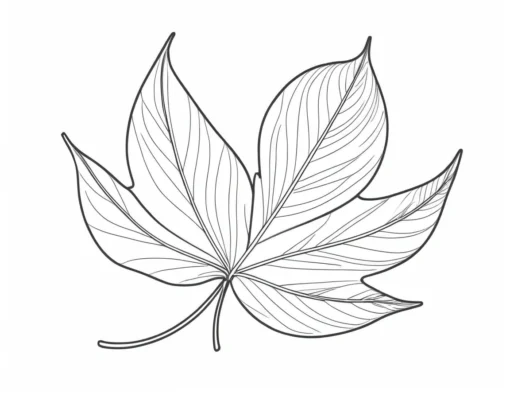 leaf coloring page printable