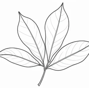 leaf coloring page realistic