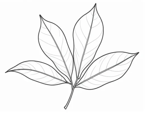 leaf coloring page realistic