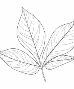 leaf coloring page simple