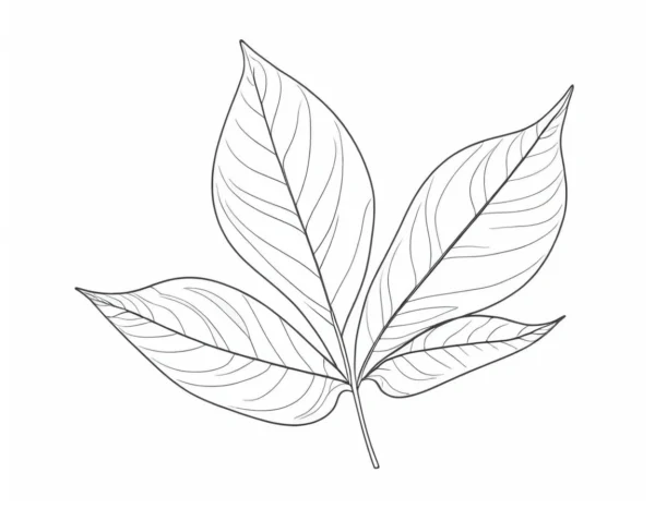 leaf coloring page simple