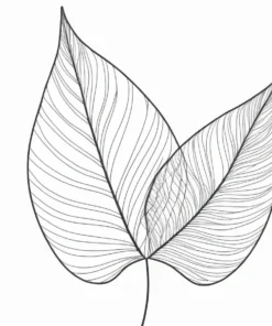 leaf coloring page summer