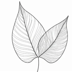 leaf coloring page summer