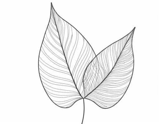 leaf coloring page summer