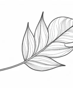 leaf coloring page template