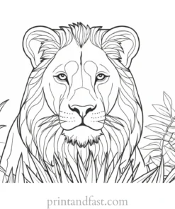 lion coloring page jungle