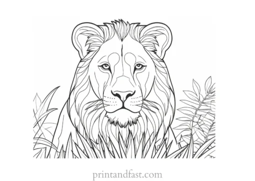 lion coloring page jungle