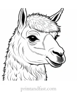 llama coloring page adult