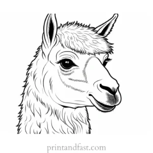 llama coloring page adult