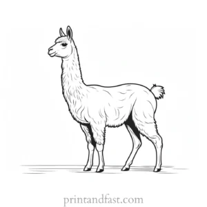 llama coloring page cartoon